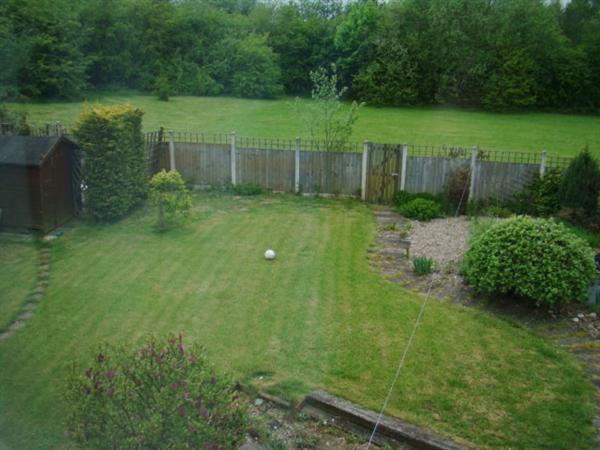 Photo of the property