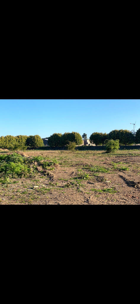 Field