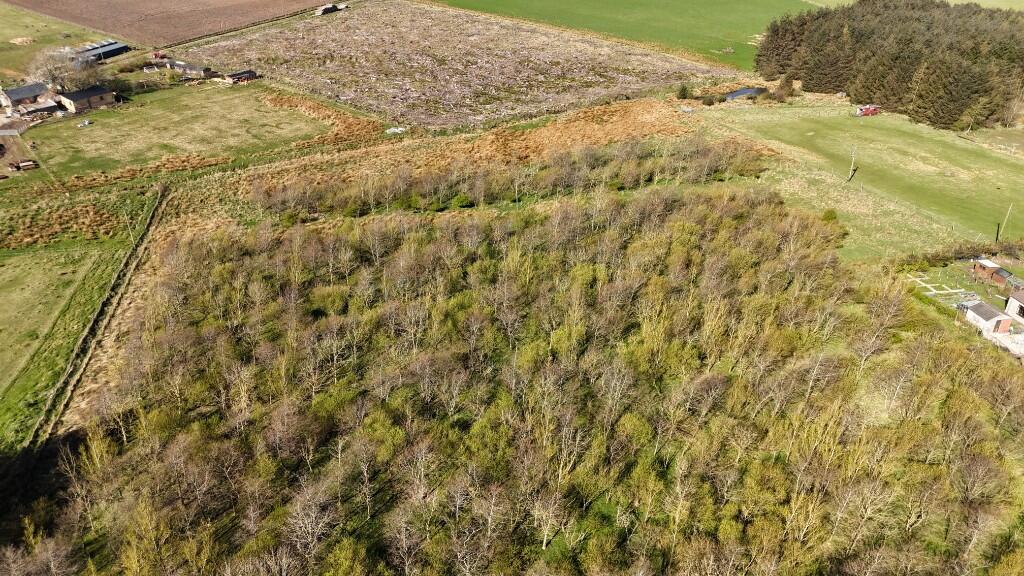 Additional image 21 of Woodland at Broadmuir, Hill of Fisherie, Turriff, AB53 5QL