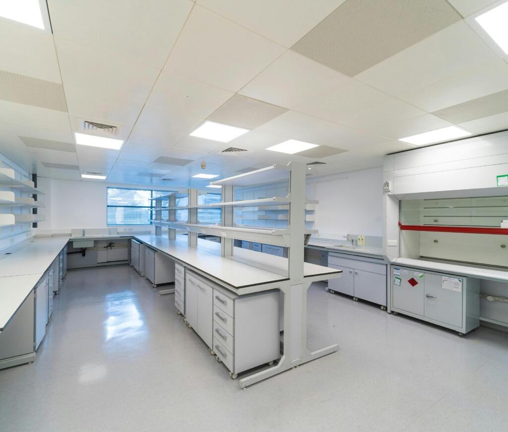 Meditrina  Lab