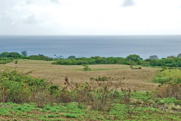 Main image of property: Barbados