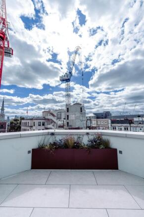 VINESTPhotography-11.jpg