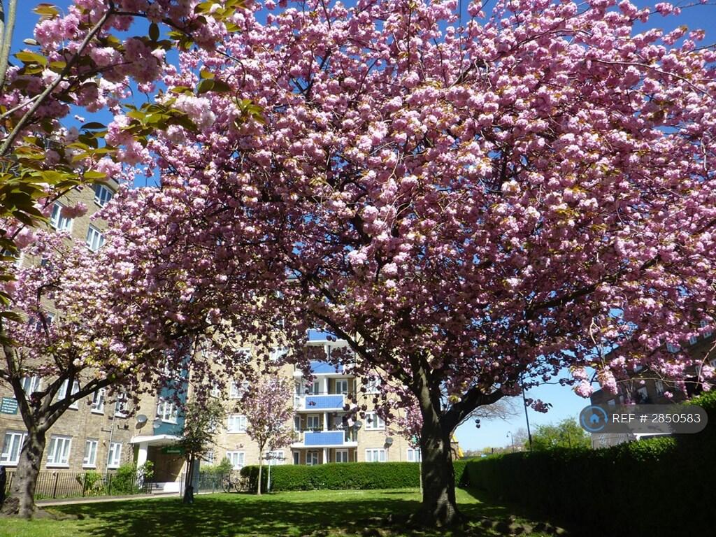 Main image of property: Ambleside, London, NW1