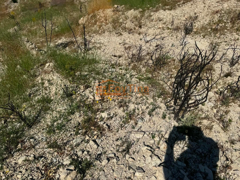 Main image of property: Limassol, Vouni
