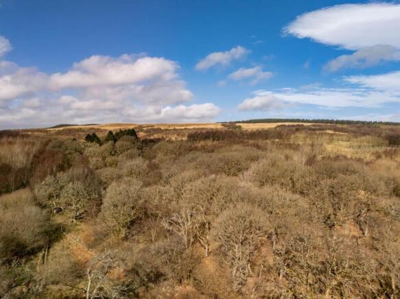 DJI_20260317112630_0245_D (1).jpg