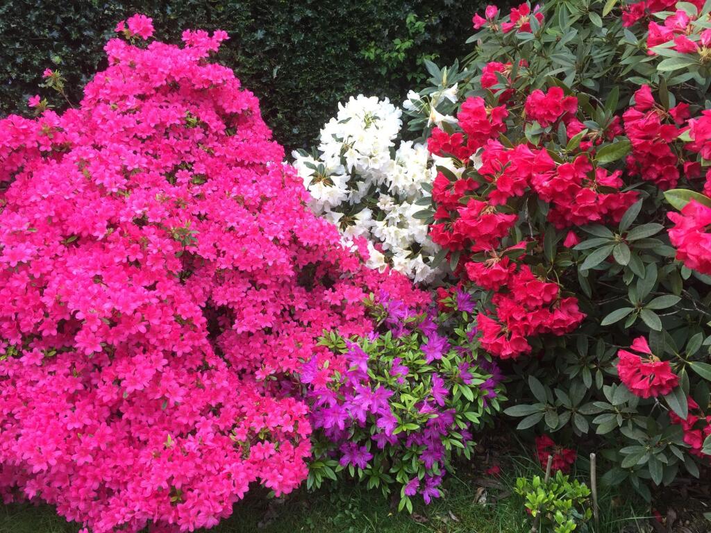 Additional image 32 of Four Ashes Road, Bentley Heath, B93