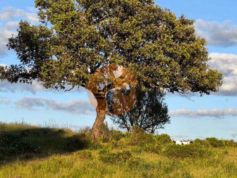 Main image of property: Algarve, Odeleite
