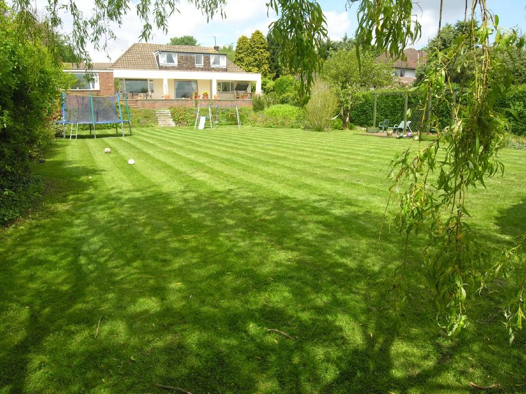 Photo of the property