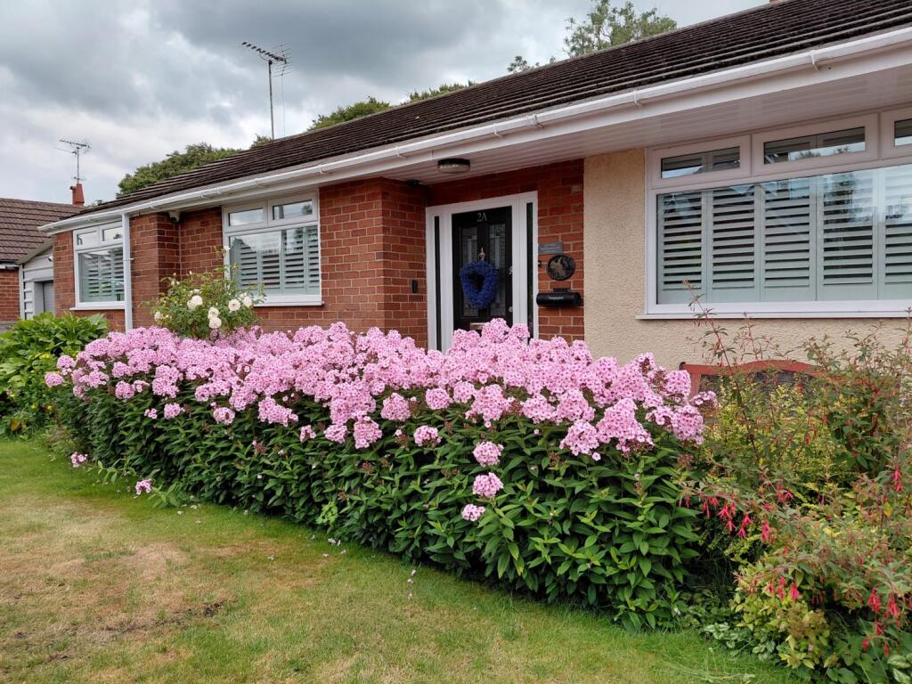 Hermitage Avenue, Romiley, Stockport, SK6 4JH photo 4