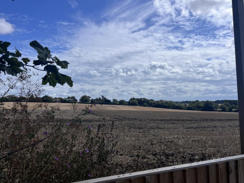 Wayborough Hill, Minster, CT12 - More