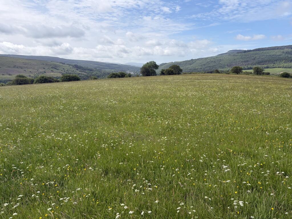 Main image of property: Crynant, Neath, Neath Port Talbot.