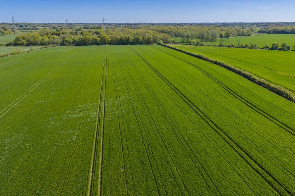 Whitehouse Farm, Little Sampford, CB10 2QN - View 2