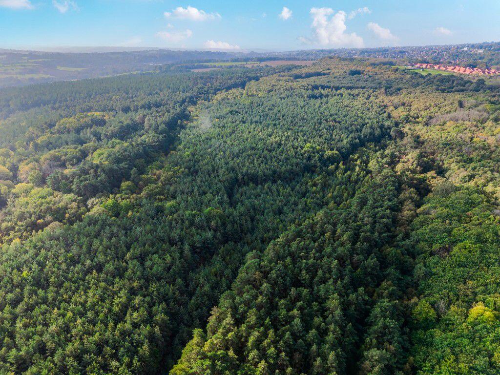 Main image of property: Boars Head Road, Crowborough