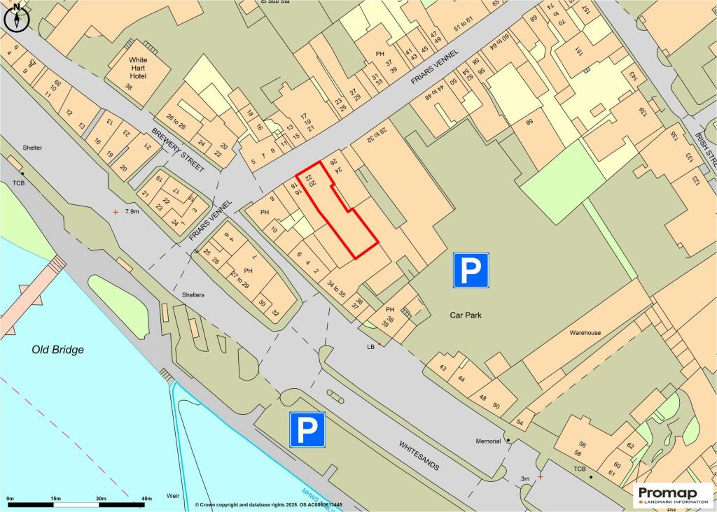 Image 8
