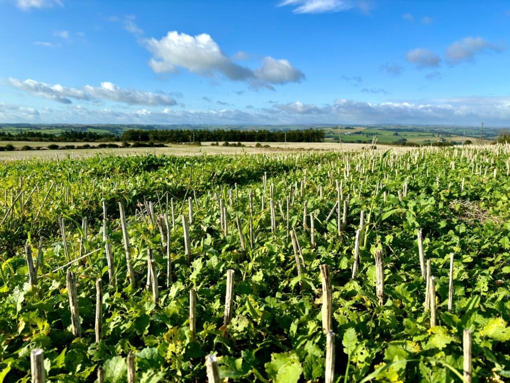 Main image of property: Land at Lanchester, Peth Lane, Lanchester, Durham