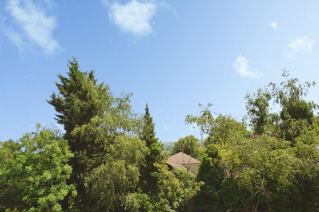 Ridgeway Road, Redhill, Surrey, RH1 - View 5