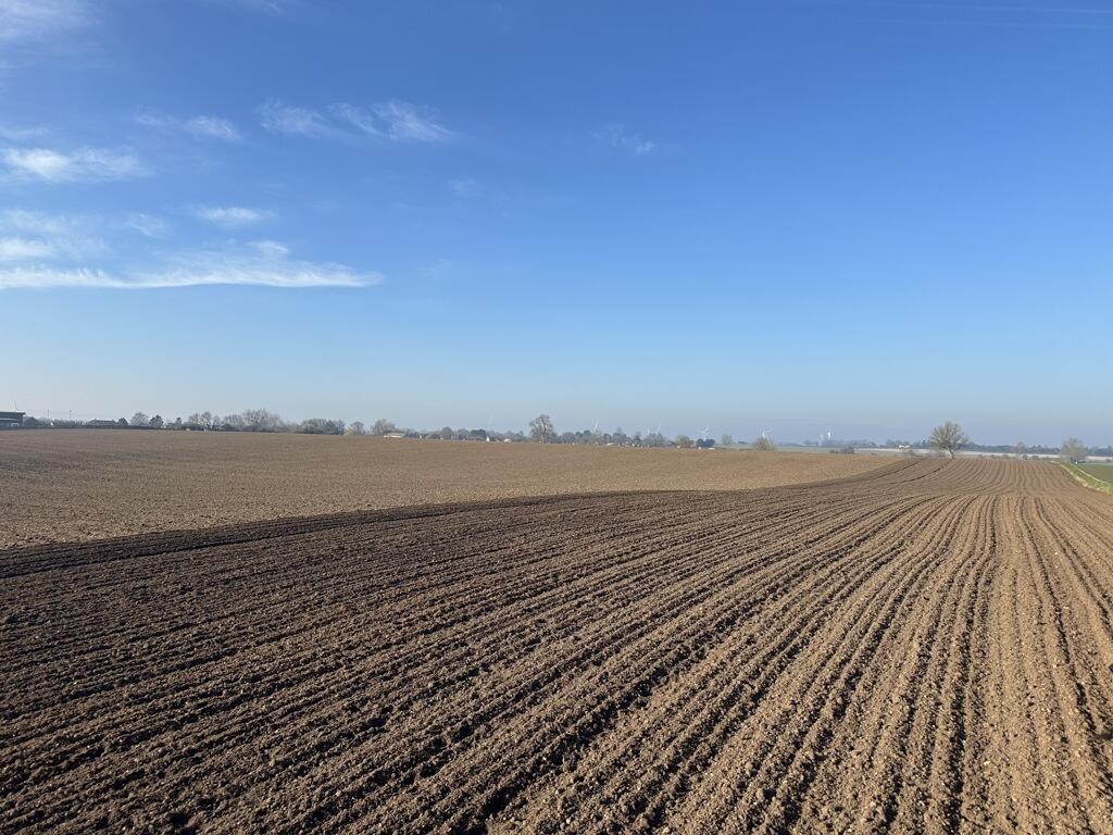 Main image of property: Agricultural Land, Leven, Beverley, East Riding of Yorkshire, HU17 5NF