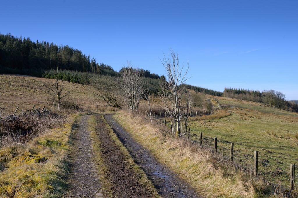 DarrachHill-1.jpg