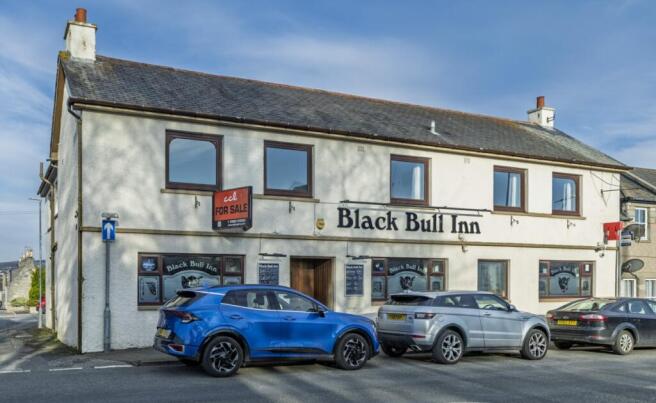 BlackBull_230-HDR
