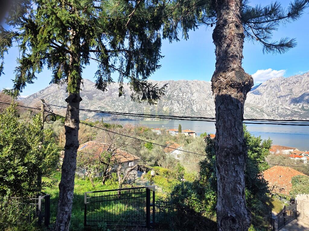 Main image of property: Kotor