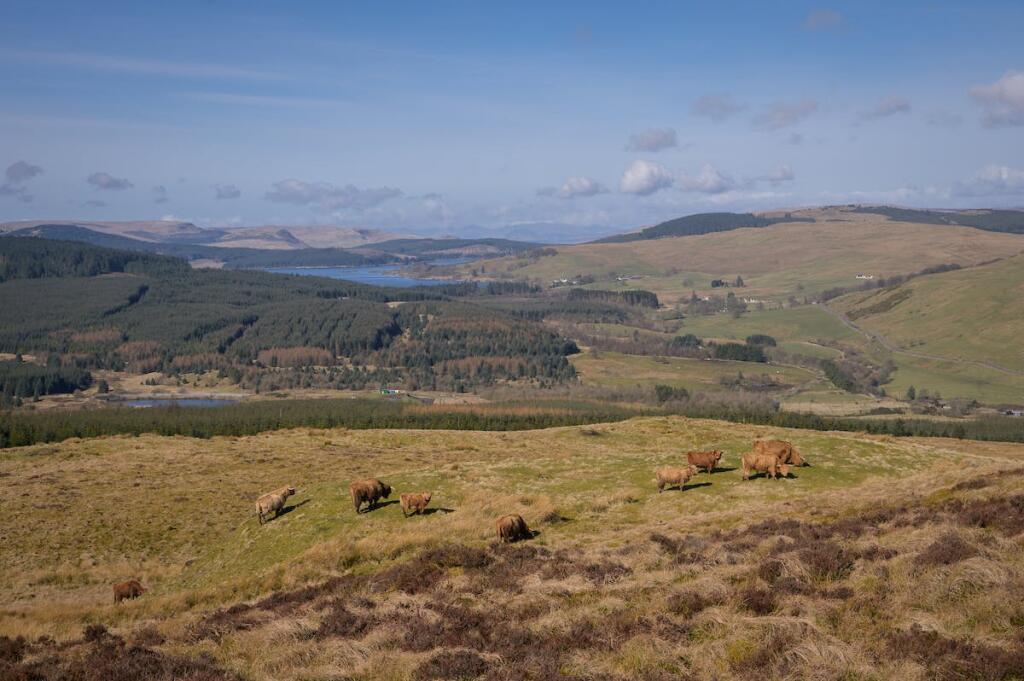 DarrachHill-77.jpg