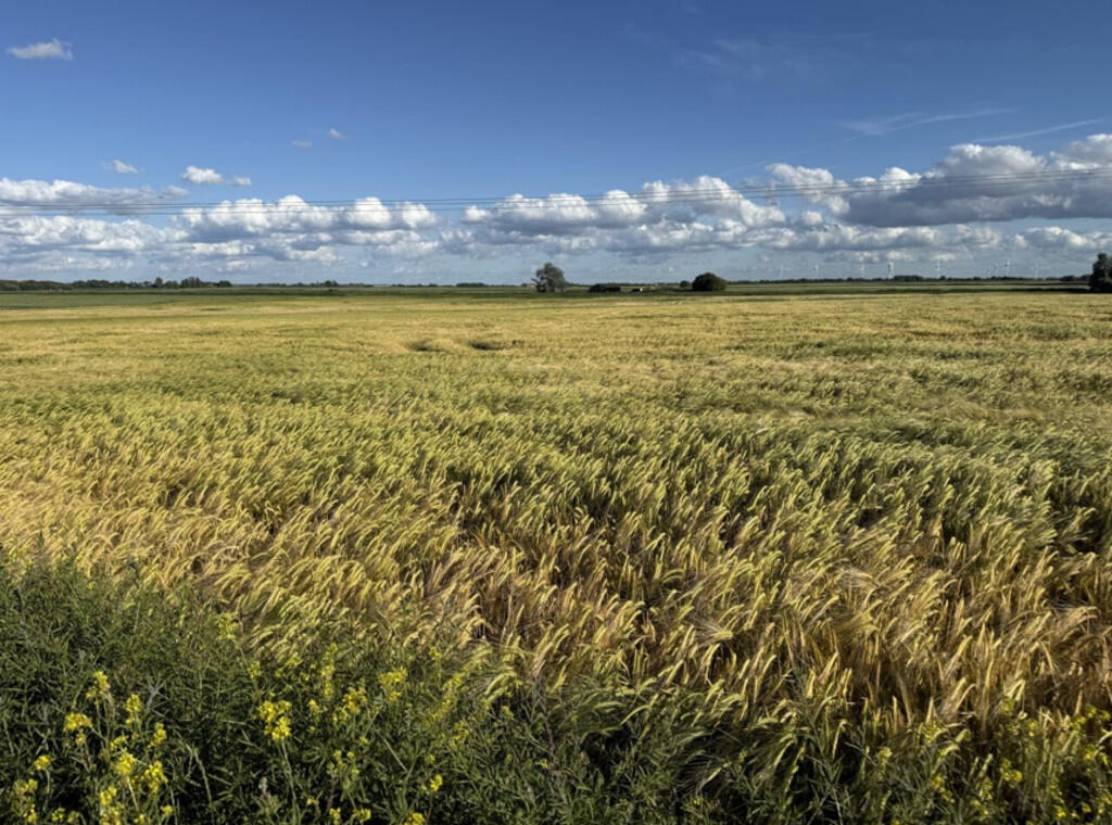 Main image of property: Benwick Road and Turntree Road, Whittlesey
