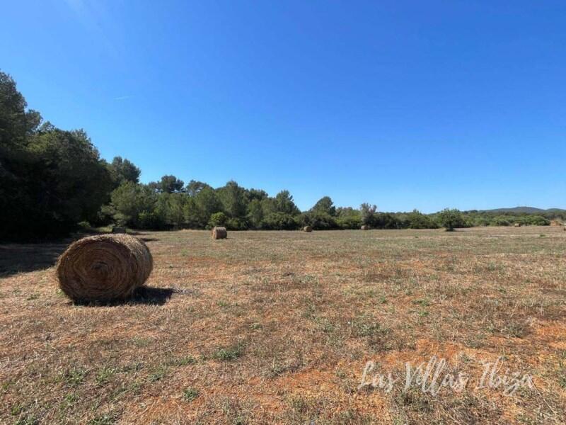 Main image of property: Balearic Islands, Ibiza, Sant Joan De Labritja