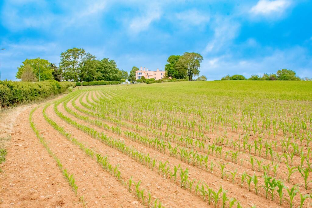 Land at Exmouth Road, Ebford, EX3 - More