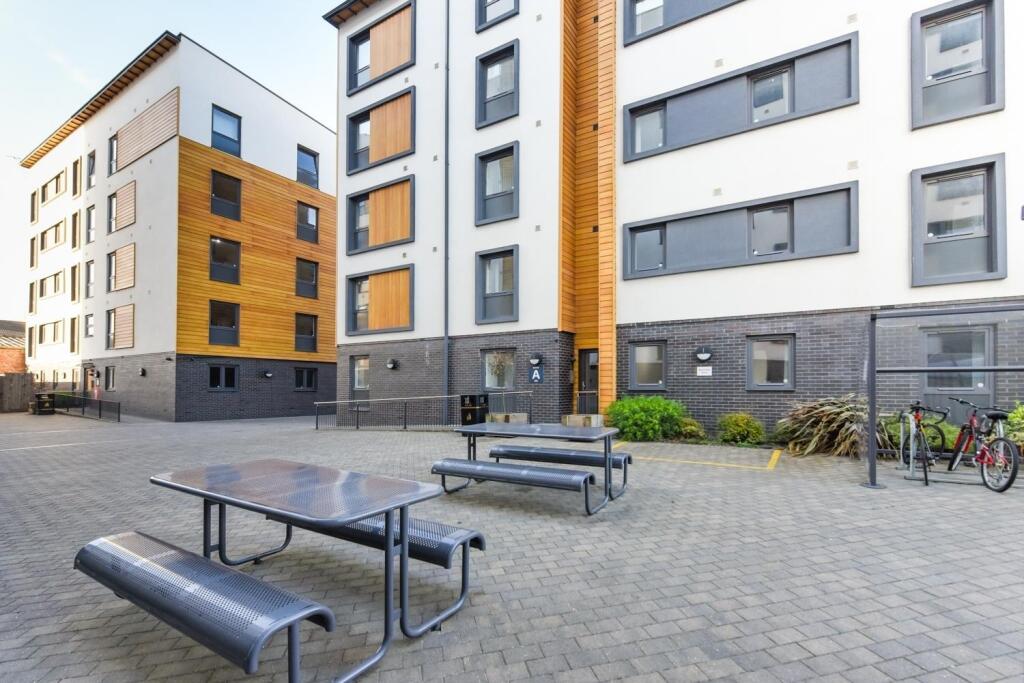 1 bedroom flat share for rent
