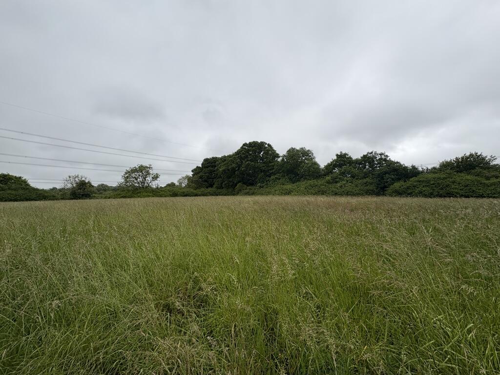 Photo 47