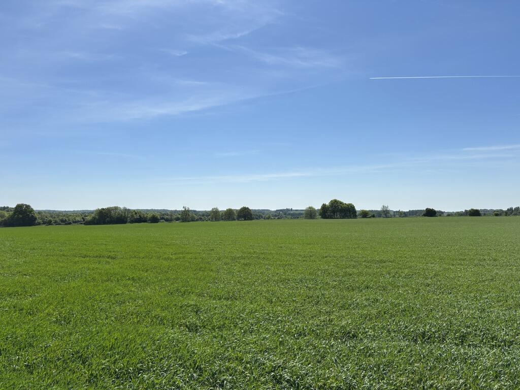 Main image of property: Land At Attleton Green, Wickhambrook, Newmarket, Suffolk, CB8 8YA