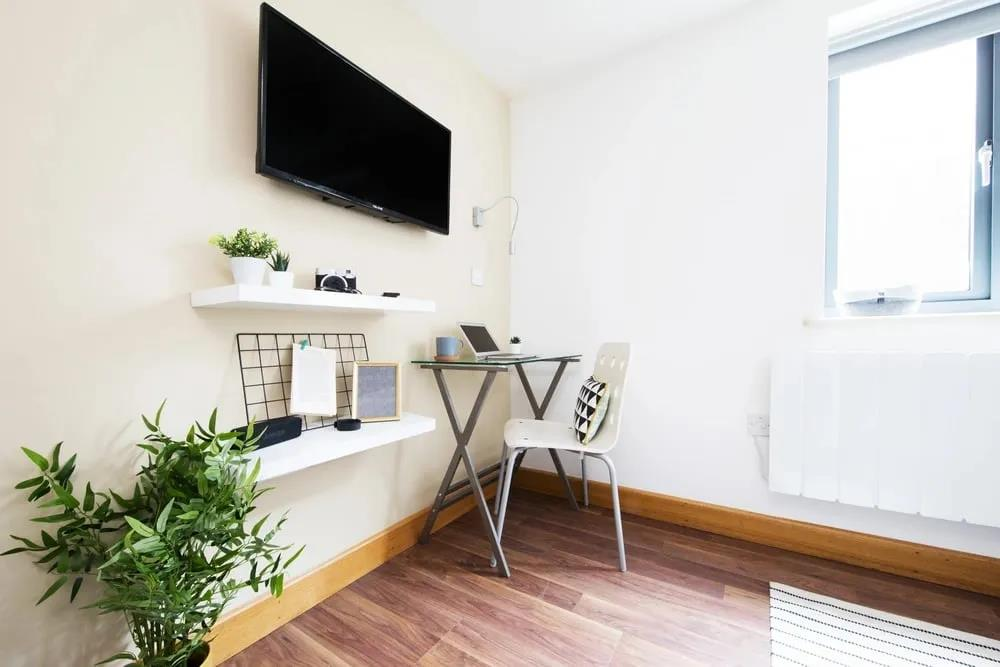 1 bedroom flat share for rent