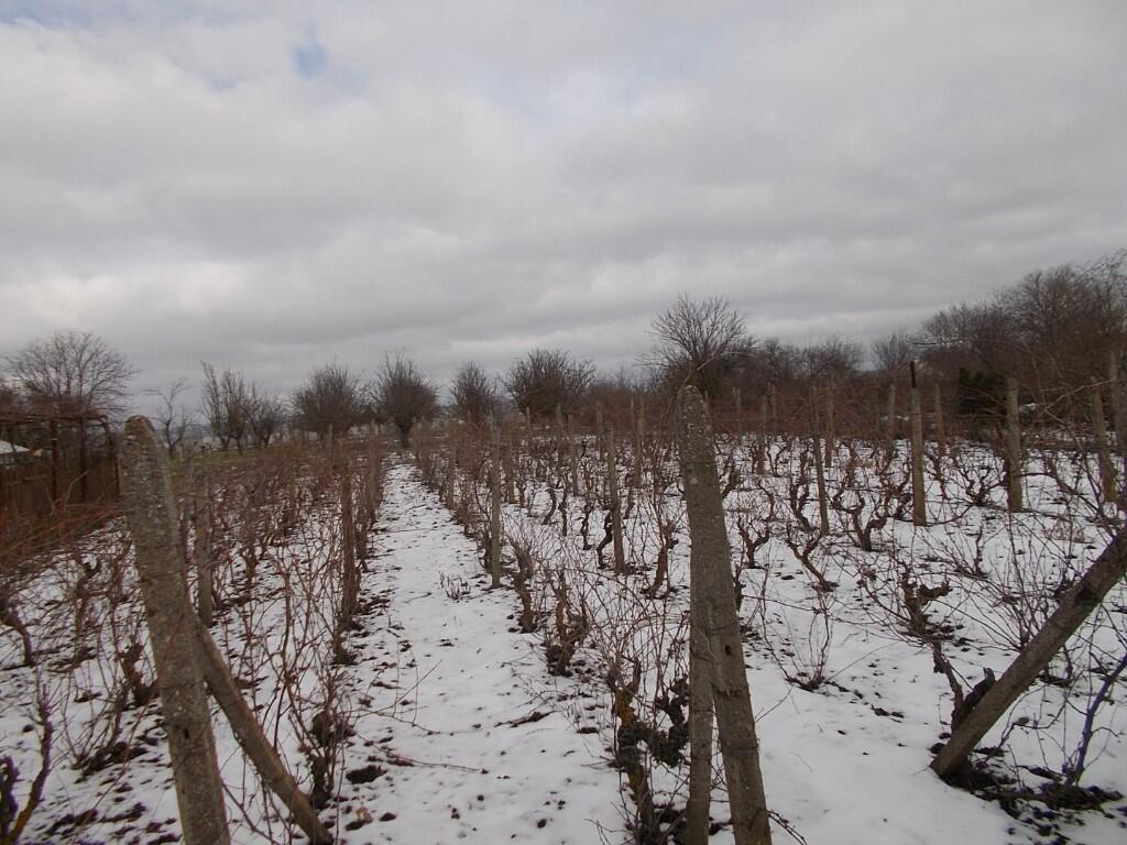 Main image of property: General Toshevo, Dobrich