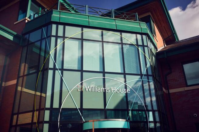 MSP_Williams_4.jpg