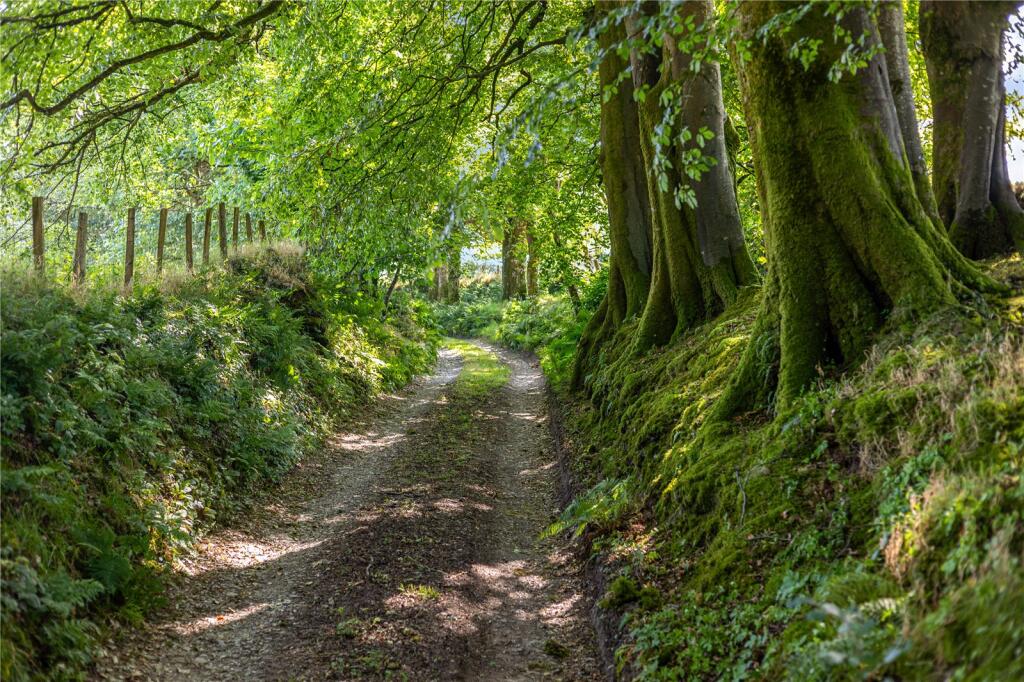 Exmoor National Park, Lynton, Devon, EX35 photo 4