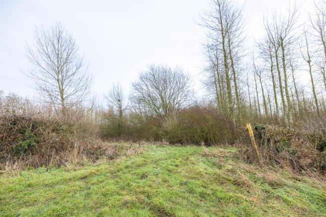 Woodland to the South of Main St Swepstone