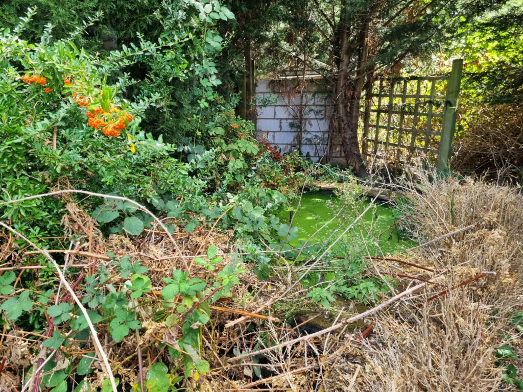 Off Hasketon Road, Burgh, Woodbridge, Suffolk, IP13 6PX - View 4