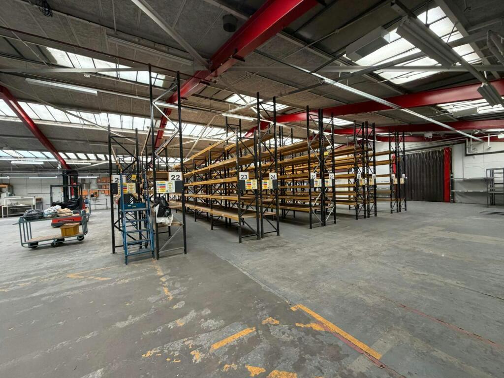 p3.jpg