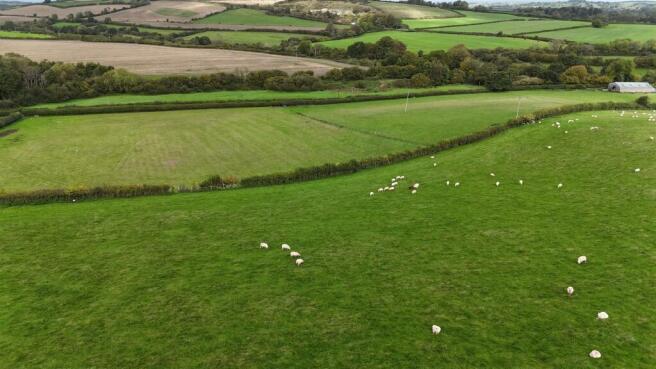 DJI_20261009103904_0683_D.JPG