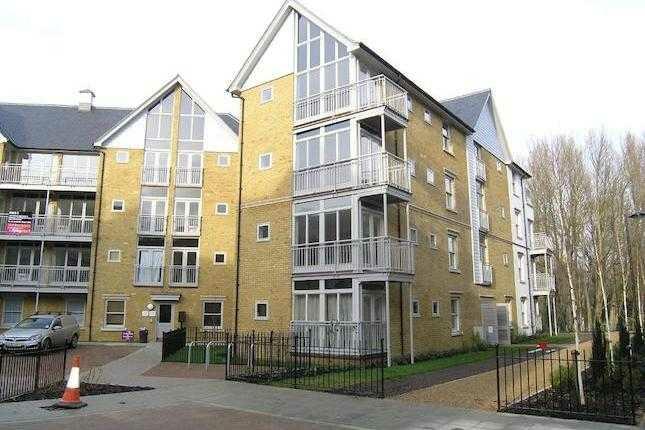Main image of property: Bingley Court, Canterbury