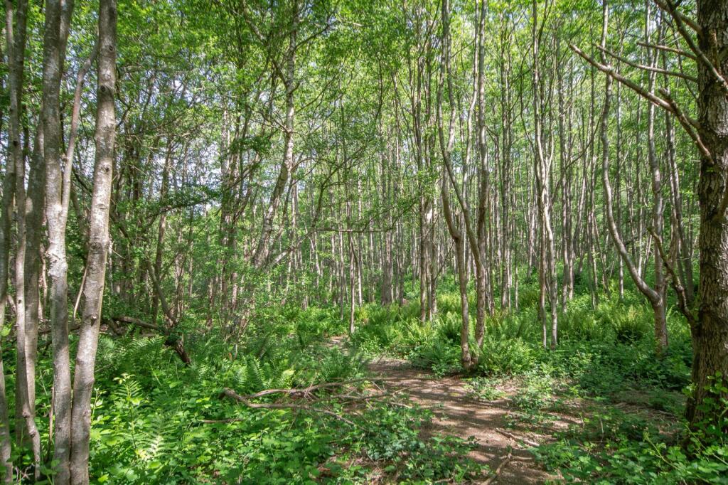 Main image of property: Pease Pottage Hill, Crawley