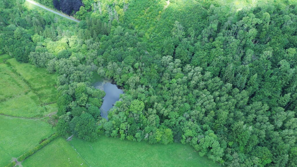 Main image of property: Reservoir & Woodland, Coed Alltfedw, Aberystwyth, Ceredigion SY23 4AT