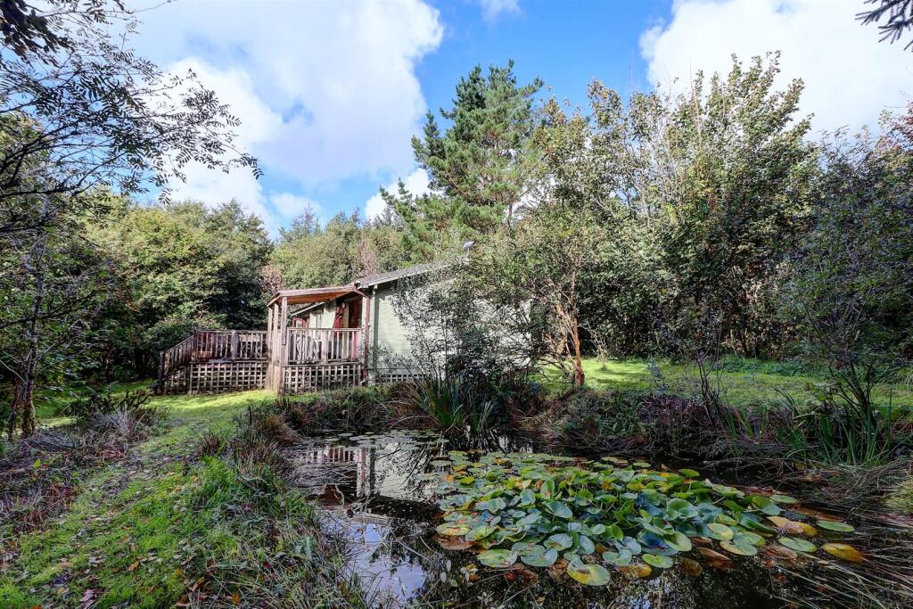 Forest Lakes, Woolsery, Bideford photo 4