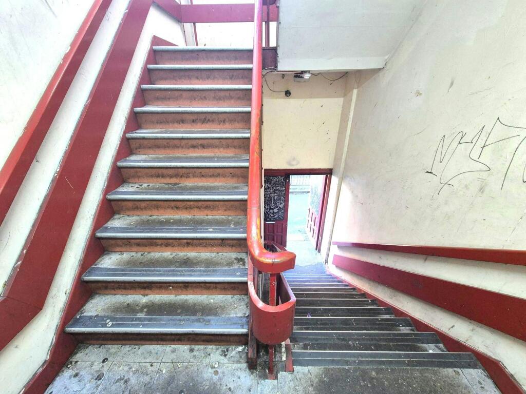 20250206_142535.jpg