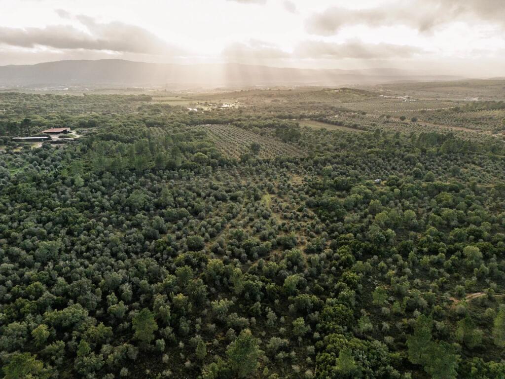 Main image of property: Alto Alentejo, Borba