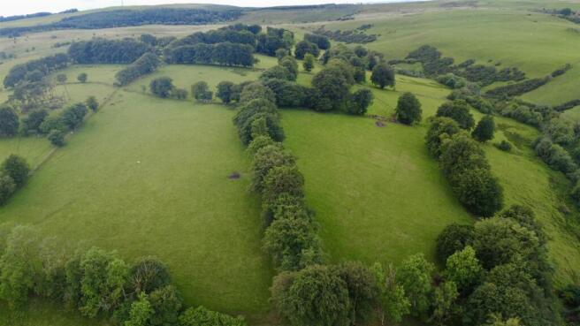 dji_fly_20260602_153358_965_1780410936128_photo_op