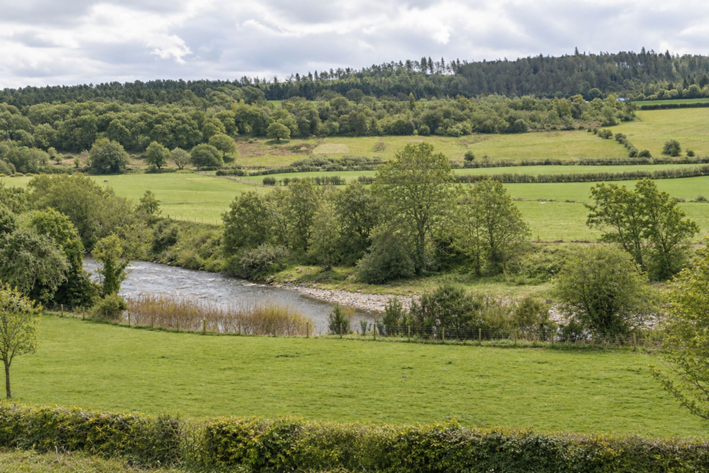 House in Newcastle upon Tyne - View 2