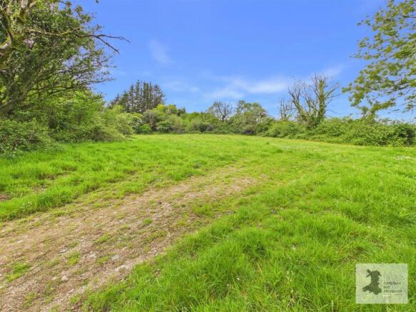 field