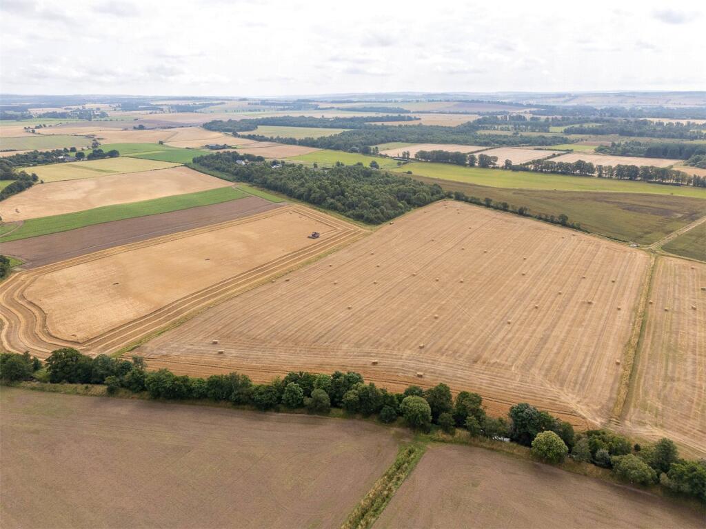 Main image of property: Land At The Coe, Menmuir, Brechin, Angus, DD9