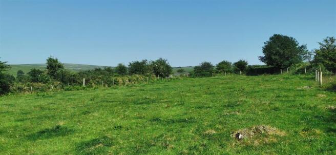 Upper Paddock